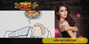 Nằm mơ thấy chó
